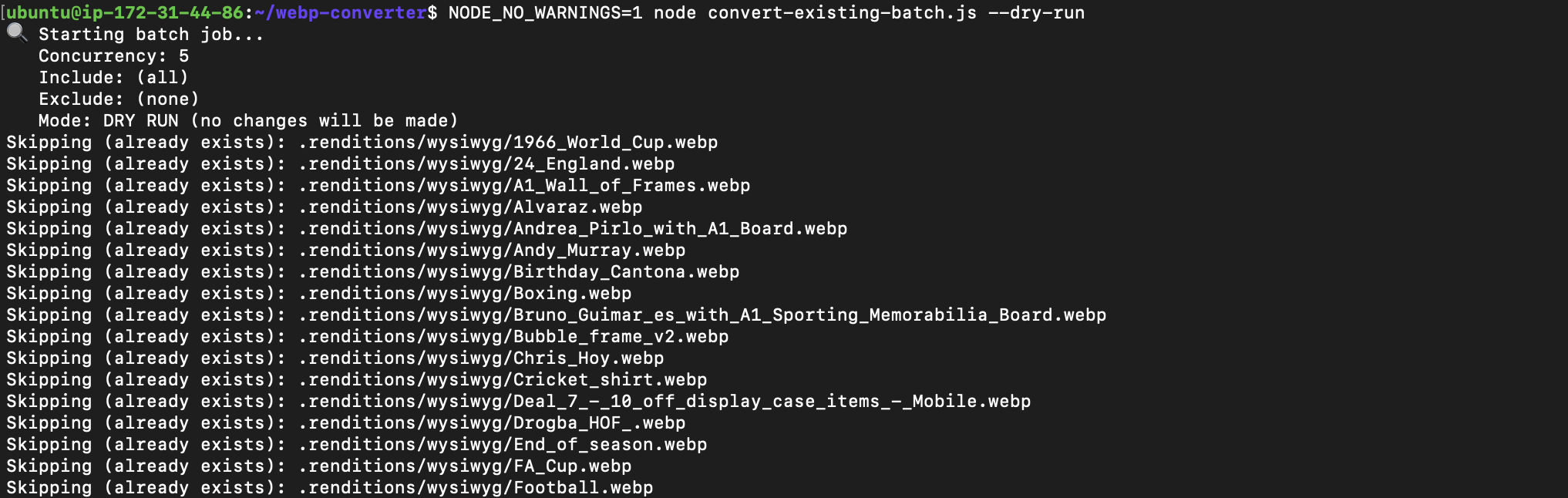 S3 images WebP conversion script running in Node.js